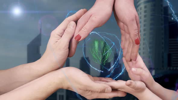 Men's, Women's and Children's Hands Show a Hologram 3d Tree