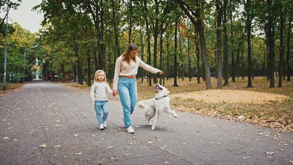 Young Mom and Her Little Daughter in Casual Clothes are Talking and Smiling Walking in Autumn Park