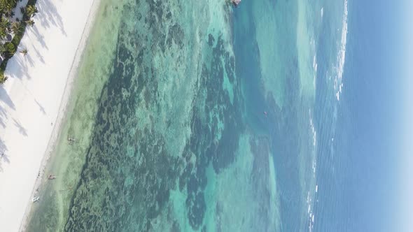 Zanzibar Tanzania  Vertical Video of the Ocean Near the Coast Slow Motion