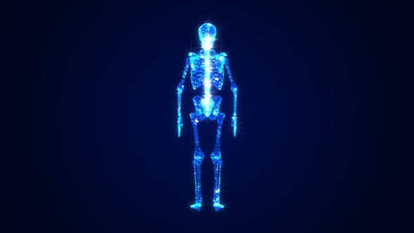 Skeleton 3 D Hologram