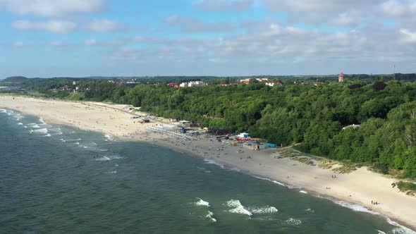 Baltic Coastline with Green Summer Forest and the Sea