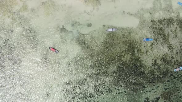 Vertical Video of the Ocean Near the Coast of Zanzibar Tanzania Aerial View