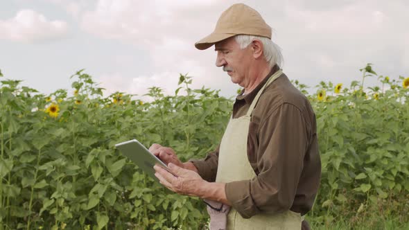 Senior Agronomist With Tablet In Rural Field