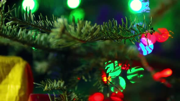 The Bright Bokeh and Gifts Under the Firtree