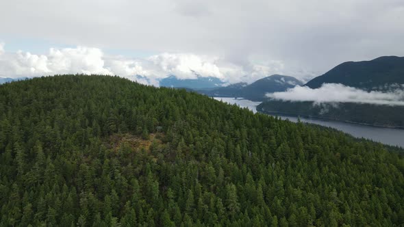 Dense, lush forest covering the mountains and valleys surrounding the Powell River on the Sunshine C