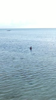 Tanzania  Vertical Video of a Coastal Landscape in Zanzibar Slow Motion