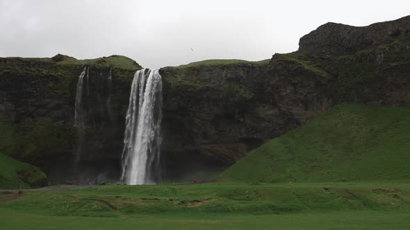 Seljalandsfoss Waterfall With Lots Of Water And Flying White Birds South Region In Iceland