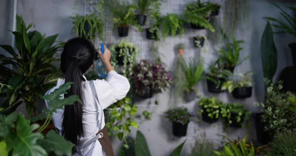 Back view of Woman spraying water to plant