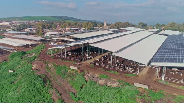 Aerial footage of a large scale dairy farm with many cows under roofs