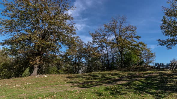 Dolly Nature Landscape Time Lapse