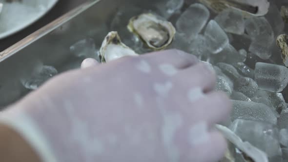 Chef Puts Delicious Raw Ocean Oysters on Large Plate