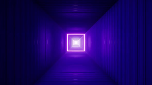 Neon Light Container Box Tunnel