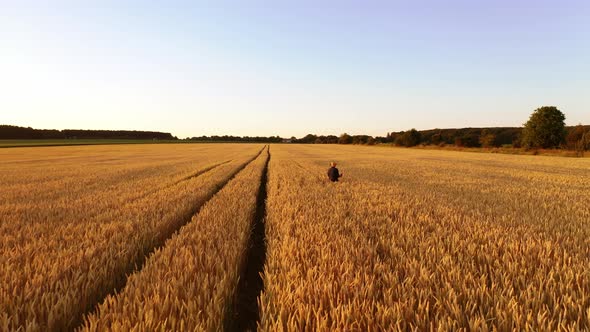 Agriculturist among golden field