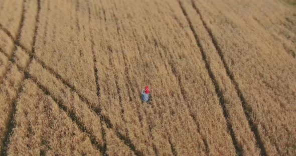 Dad Holds the Baby on His Shoulders and Spins in the Field