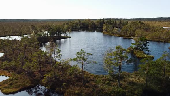 Aerial birdseye view of Dunika peat bog (mire) with small ponds in sunny autumn day, wide establishi