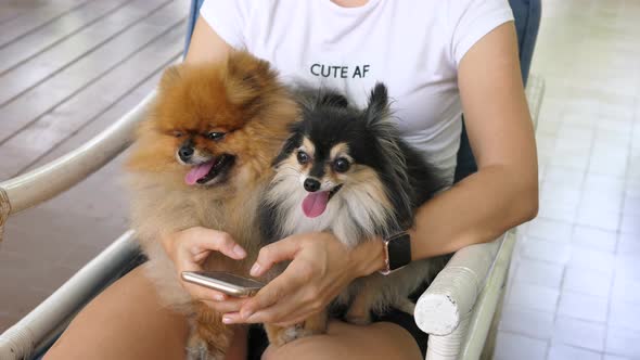 Woman Using Smartphone And Holding Two Dogs