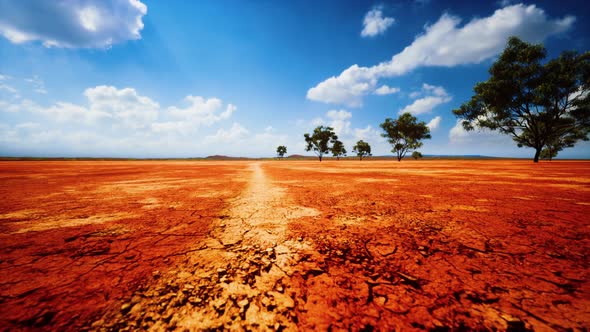 Badly Cracked Earth Under a Scorching Sun