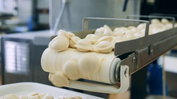 Dumplings Are Falling From the Conveyor Onto the Tray