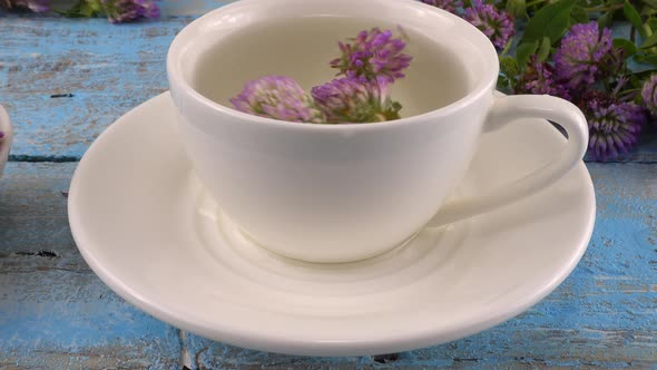 Brewing a tisanes from red clover in a white cup. Composition on vintage light blue wooden tabletop 