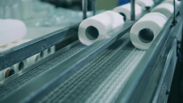 Small Paper Rolls Moving Along the Conveyor Belt