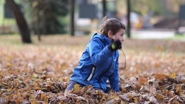 Children are Playing with Fallen Leaves in the Autumn Park