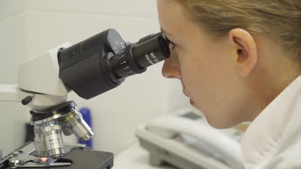 Woman Doctor Looks in a Microscope.