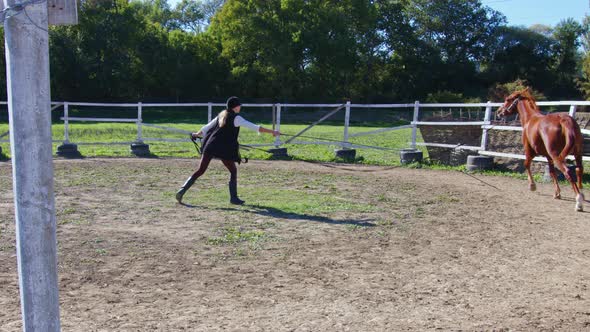 An Outdoor Horse Training at the Farm