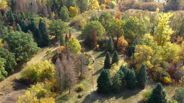 Panoramic Remote Shooting of Couple Walking Along Path of Dense Forest Among Beautiful Colorful