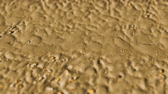 Lines in the Sand of a Beach