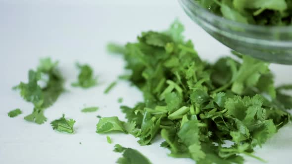 Choppen fresh cilantro on a cutting board.