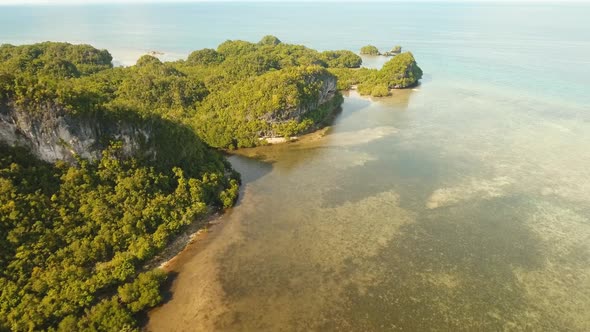 Coast of Tropical Island.