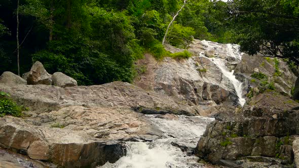 Mountain River Flowing in Rainforest. Endless Meditative Video, Stream in Tropical Exotic Jungle