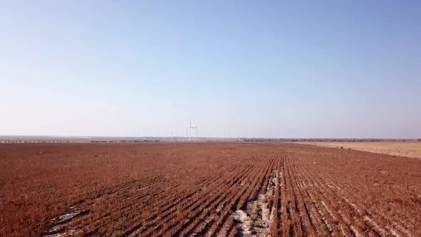 Windmills Near the Field, Top View From a Drone