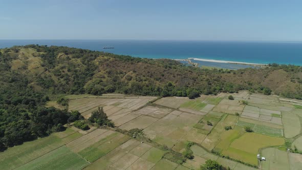 Farm Fields Near the Sea