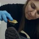 A Beautiful Young Woman Brushes Her Shoes Before Going to Work - VideoHive Item for Sale