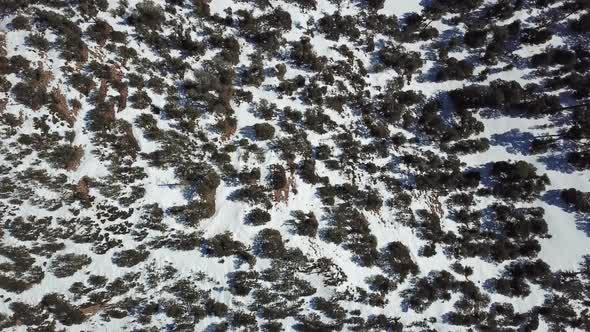 Aerial View of Atlas Mountains Covered with Forest