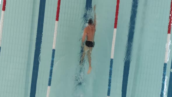 Young Athletic Man Swimmer Swims in the Pool Man Swimming and Training in the Water View From a