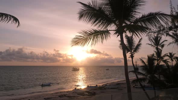 Tropical Sunrise. Silhouette of Coconut Palm Trees with Seashore Background