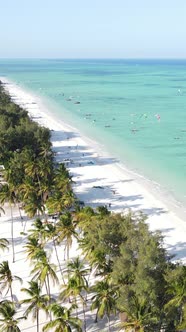 Beach on the Coast of Zanzibar Island Tanzania