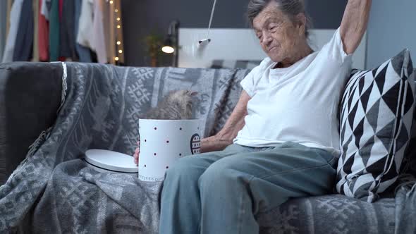 Senior Woman Spends Time Playing with Little Kitten with Pet Toy at Home on the Couch