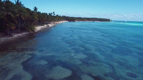 4k 24fps Palms Tree In The Saona Island With Drone Dominican Republic 5