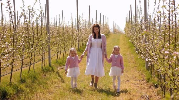Mother Twin Daughters Walk Among Young Apple Trees They Are Dressed Alike