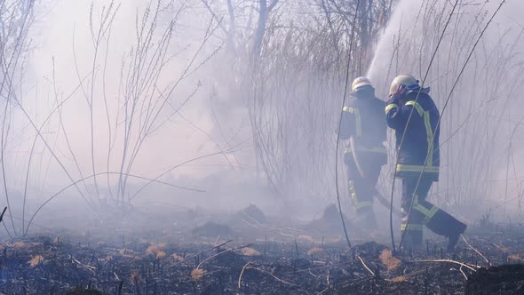 Two Firefighters in Equipment Extinguish Forest Fire with Fire Hose. Slow Motion