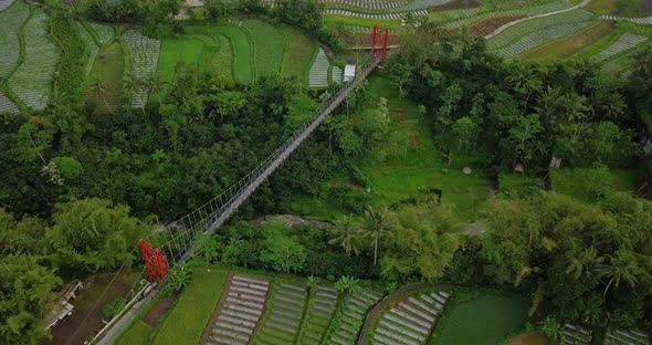 Drone shot of metal suspension bridge build over valley with river on the bottom and surrounded by t