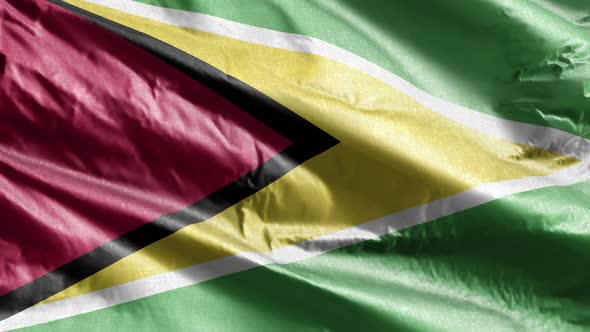 Guyana textile flag waving on the wind loop. Slow motion. 20 seconds loop.