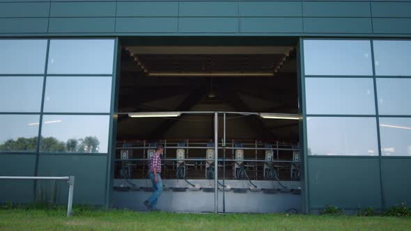 Farmer Walking Milking Equipment Parlor