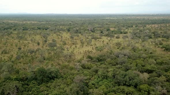 Aerial Shot of the  African Savannah a Mikumi National Park, Tanzania.