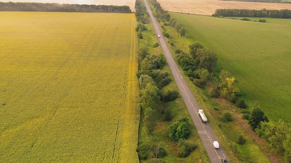 Road Between Agricultural Fields with Driving Cars Aerial View