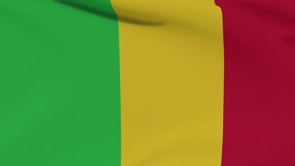 Flag Mali Patriotism National Freedom Seamless Loop