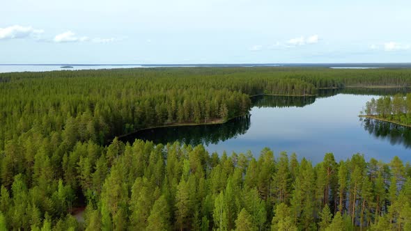 Lake and Forest in Finland